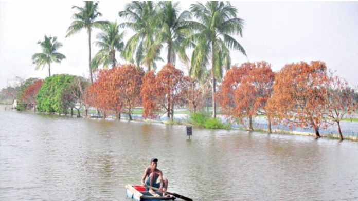 জলাবদ্ধতায় মরেছে তিন লক্ষাধিক গাছ