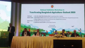 কৃষকদের প্রণোদনা দিতে গেলে বাধার মুখে পড়তে হয়: কৃষি উপদেষ্টা