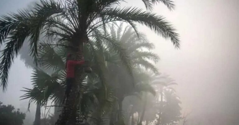 দেশে কবে তাপমাত্রা ৩ ডিগ্রি সেলসিয়াসের নিচে নেমেছিল