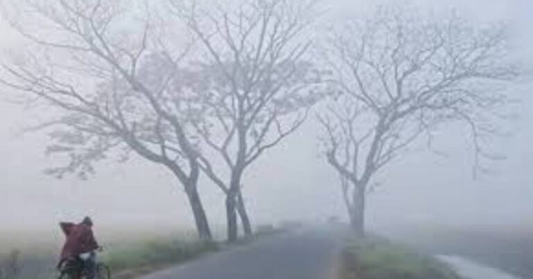 যশোরে বইছে মৃদু শৈত্য প্রবাহ, কুয়াশার কবলে দেশ