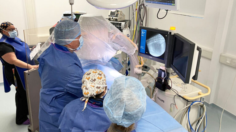 একটি বিড়ালের অপারেশন ব্যয় একুশ হাজার ব্রিটিশ পাউন্ড!