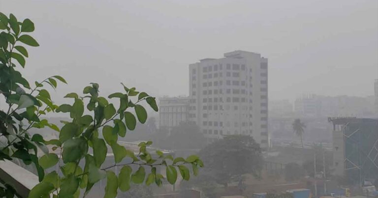 ঢাকার তাপমাত্রা ১২ ডিগ্রি