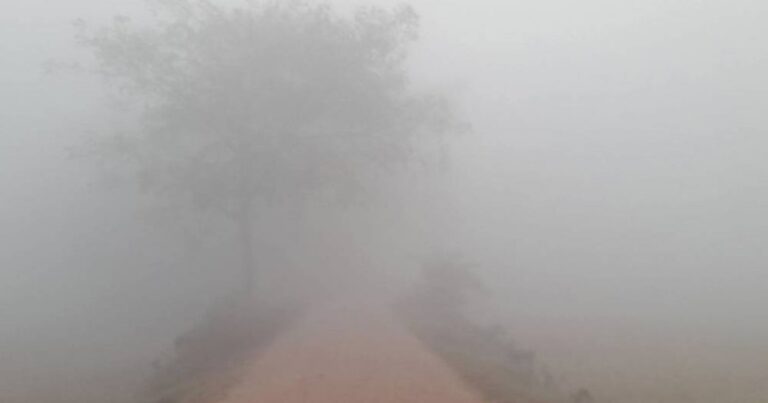 বদলগাছীতে মাঝারি শৈত্যপ্রবাহ, তাপমাত্রা ৬.৭ ডিগ্রি