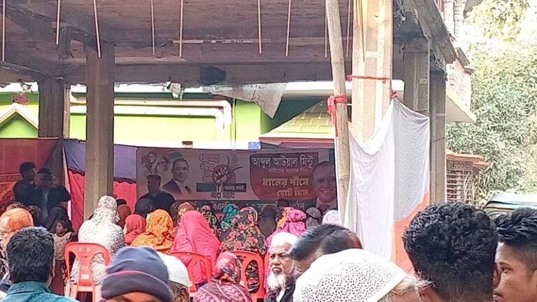 বিএনপি প্রার্থী বড় ভাইয়ের জন্য ভোট চেয়ে ২০ হাজার টাকা জরিমানা দিলেন ছোট ভাই