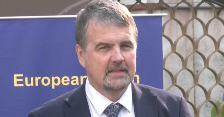 প্রতিযোগিতামূলক নির্বাচন হয়েছে: ইইউর পর্যবেক্ষক প্রধান