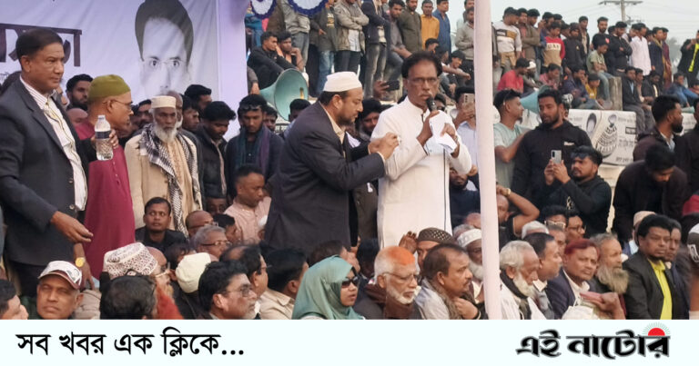 স্বতন্ত্র প্রার্থী টিপুর জনসভায় মানুষের ঢল