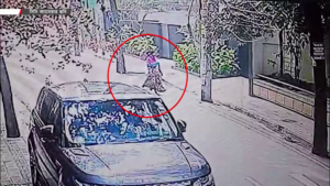 ছদ্মনামে গৃহকর্মীর কাজ নিয়ে সর্বস্ব লুট করাই পেশা এই নারীর