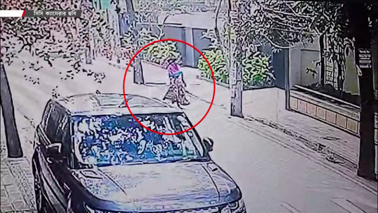 ছদ্মনামে গৃহকর্মীর কাজ নিয়ে সর্বস্ব লুট করাই পেশা এই নারীর