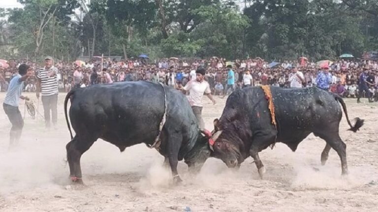 বিলুপ্ত গ্রামীণ আড়ং-মেলা: হারিয়ে যাচ্ছে লোকজ ঐতিহ্য
