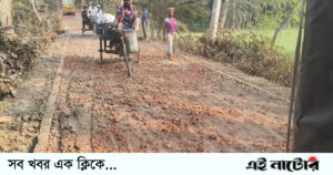 লালপুরে রাস্তা মেরামতের কাজে ব্যাপক অনিয়মের অভিযোগ
