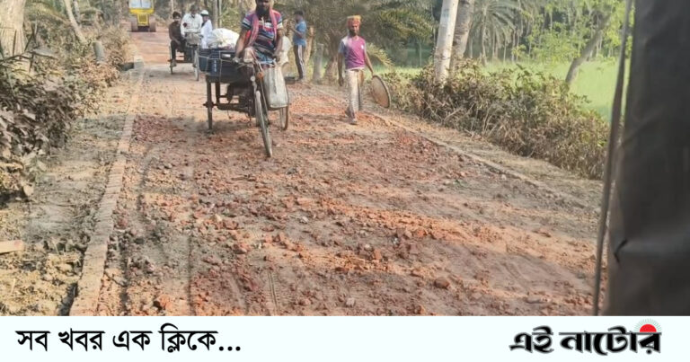 লালপুরে রাস্তা মেরামতের কাজে ব্যাপক অনিয়মের অভিযোগ