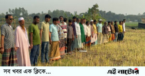 সিংড়ায় জমি নিয়ে বিরোধের জেরে কৃষকের আবাদকৃত সরিষা কেটে নিল প্রতিপক্ষ