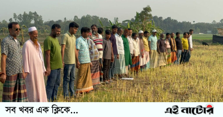সিংড়ায় জমি নিয়ে বিরোধের জেরে কৃষকের আবাদকৃত সরিষা কেটে নিল প্রতিপক্ষ