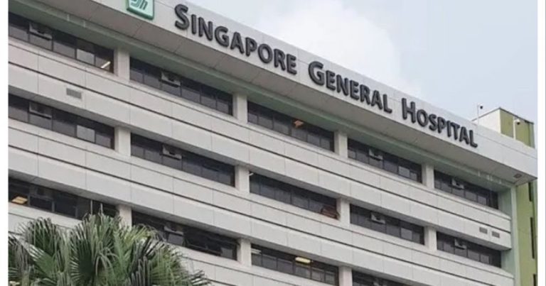 স্পিকারের সহধর্মিণী দিলারা হাফিজ সিঙ্গাপুরে ভেন্টিলেশনে