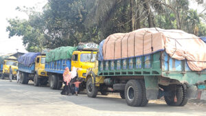 পাচারের সময় চার ট্রাকে মোট ১৪২০ বস্তা সার জব্দ