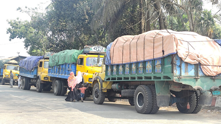 পাচারের সময় চার ট্রাকে মোট ১৪২০ বস্তা সার জব্দ