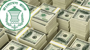 নতুন মাইলফলকে রেমিট্যান্স, মাস শেষ না হতেই এলো সাড়ে ৩ বিলিয়ন ডলার