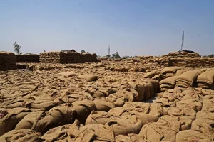 মধ্যপ্রাচ্যে সংঘাতের জেরে বাড়ছে খাদ্যপণ্যের দাম: জাতিসংঘ