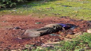 মাথা ও হাত কব্জি বিহীন কম্বল মোড়ানো অর্ধগলিত এক নারীর মরদেহ উদ্ধার