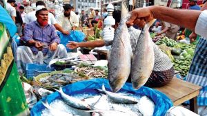 নাগালের বাইরে ইলিশ, বৈশাখে হতাশ মধ্যবিত্ত পরিবার