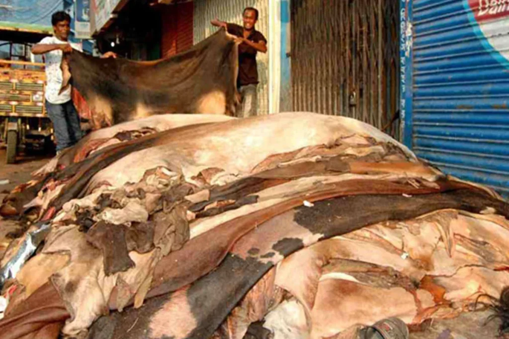 কোরবানির চামড়া সংগ্রহে জোরালো প্রস্তুতি, লক্ষ্য প্রায় ১ কোটি পিস