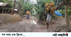 আত্রাইয়ে রাস্তার বেহাল দশা: বোরো ধান নিয়ে বিপাকে কৃষক