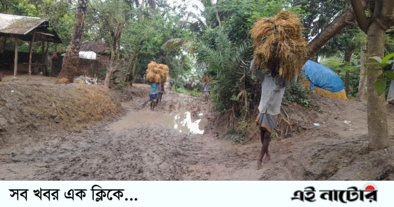 আত্রাইয়ে রাস্তার বেহাল দশা: বোরো ধান নিয়ে বিপাকে কৃষক