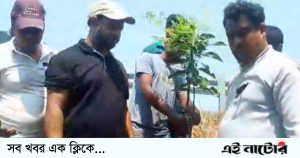 নলডাঙ্গায় জিয়াউর রহমানের মৃত্যু বার্ষিকী উপলক্ষে বৃক্ষ রোপণ