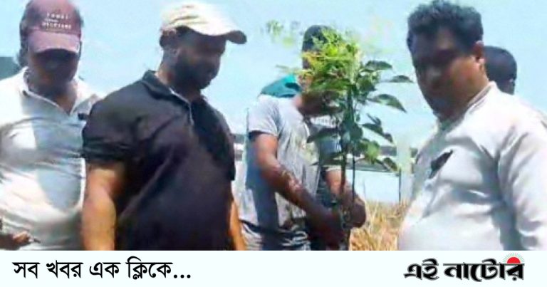 নলডাঙ্গায় জিয়াউর রহমানের মৃত্যু বার্ষিকী উপলক্ষে বৃক্ষ রোপণ