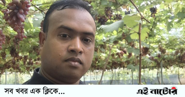 নাটোরে আঙুর চাষে নতুন সম্ভাবনার হাতছানি