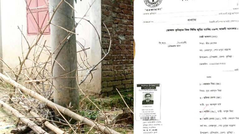 স্বামীর সম্পত্তির দখল চাওয়ায় বিধবাকে মারধর