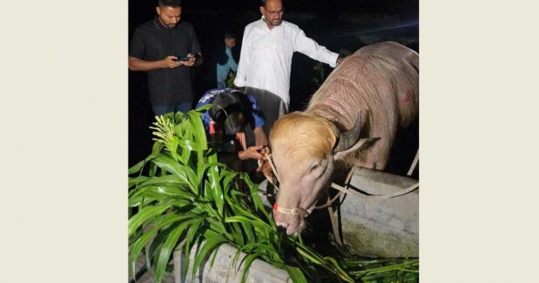 সেই ‘ডোনাল্ড ট্রাম্প’ এখন চিড়িয়াখানায়
