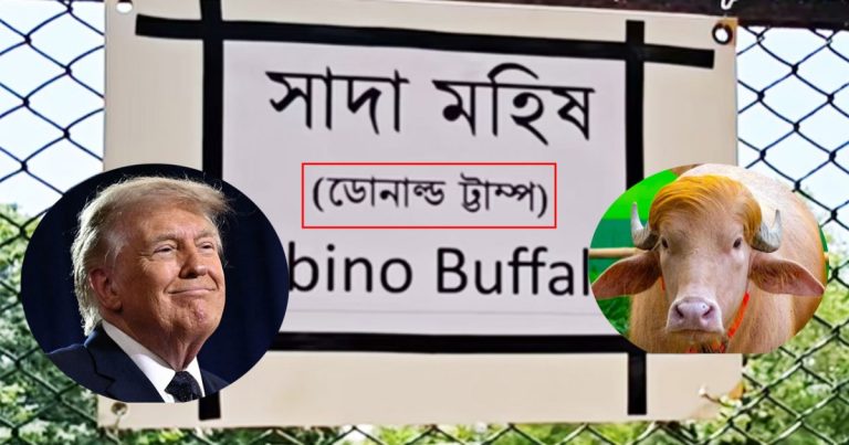 ‘ডোনাল্ড ট্রাম্প’ বানান ভুল লিখে ভাইরাল চিড়িয়াখানা কর্তৃপক্ষ