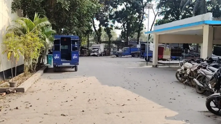 আমাকে হাজতে ভরেন, আমি বালতির পানিতে চুবিয়ে আরশিকে মেরেছি